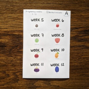 BZ-0061 Week 5-12